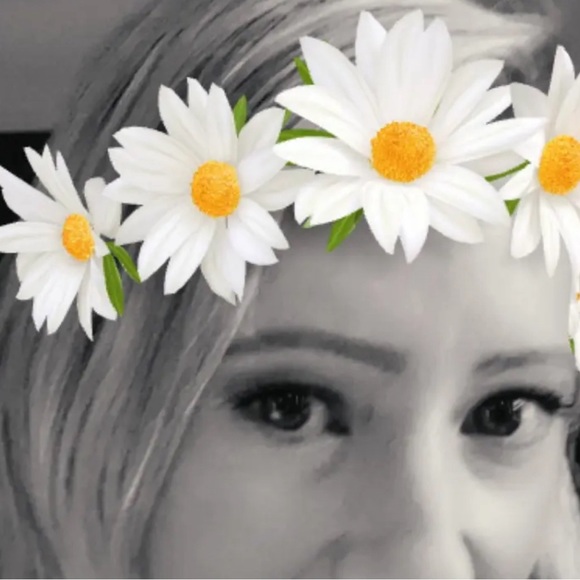 dani555